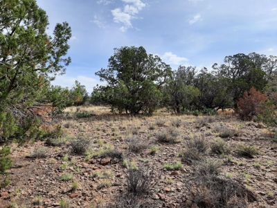 Beautiful Property - image 2