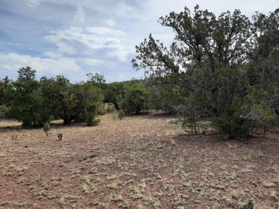 Beautiful Property - image 14