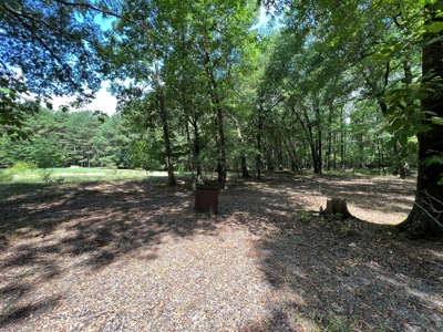 Hunting/Fishing Camp For Sale across from Hurricane Lake WMA - image 13
