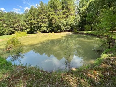 Hunting/Fishing Camp For Sale across from Hurricane Lake WMA - image 9