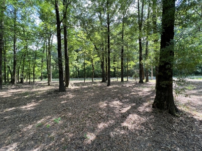 Hunting/Fishing Camp For Sale across from Hurricane Lake WMA - image 15