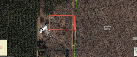 Hunting/Fishing Camp For Sale across from Hurricane Lake WMA - image 33