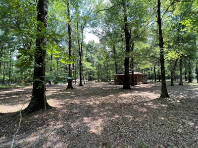 Hunting/Fishing Camp For Sale across from Hurricane Lake WMA - image 11