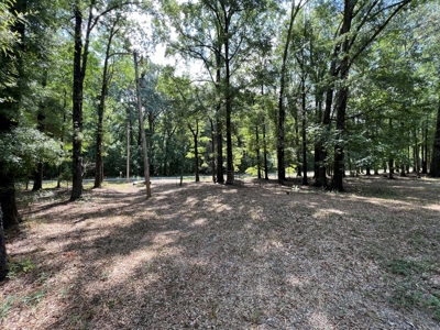 Hunting/Fishing Camp For Sale across from Hurricane Lake WMA - image 14
