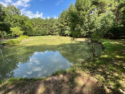 Hunting/Fishing Camp For Sale across from Hurricane Lake WMA - image 6