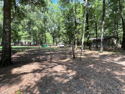 Hunting/Fishing Camp For Sale across from Hurricane Lake WMA - image 2