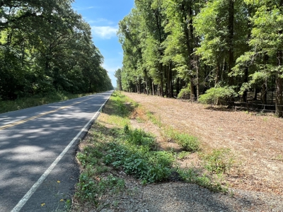 Hunting/Fishing Camp For Sale across from Hurricane Lake WMA - image 3