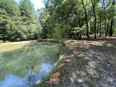 Hunting/Fishing Camp For Sale across from Hurricane Lake WMA - image 8