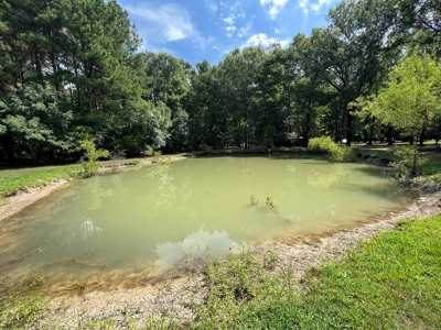 Hunting/Fishing Camp For Sale across from Hurricane Lake WMA - image 7
