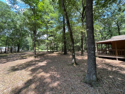 Hunting/Fishing Camp For Sale across from Hurricane Lake WMA - image 12