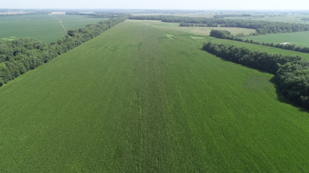 205+/- Acres, 3.5% Return on Investment, Quality Row Crop - image 6