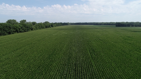 205+/- Acres, 3.5% Return on Investment, Quality Row Crop - image 10