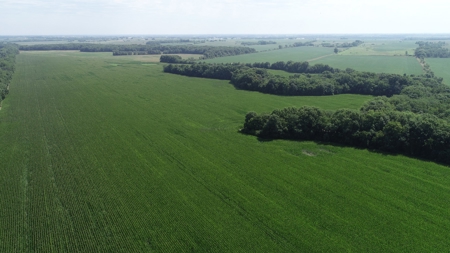 205+/- Acres, 3.5% Return on Investment, Quality Row Crop - image 9