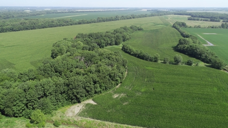 205+/- Acres, 3.5% Return on Investment, Quality Row Crop - image 8