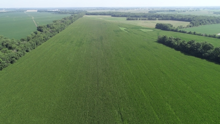 205+/- Acres, 3.5% Return on Investment, Quality Row Crop - image 14