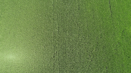 205+/- Acres, 3.5% Return on Investment, Quality Row Crop - image 12