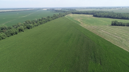 205+/- Acres, 3.5% Return on Investment, Quality Row Crop - image 5