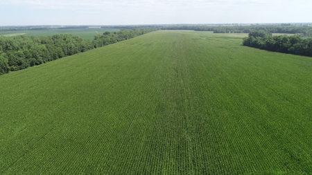 205+/- Acres, 3.5% Return on Investment, Quality Row Crop - image 2