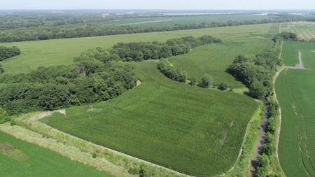 205+/- Acres, 3.5% Return on Investment, Quality Row Crop - image 7