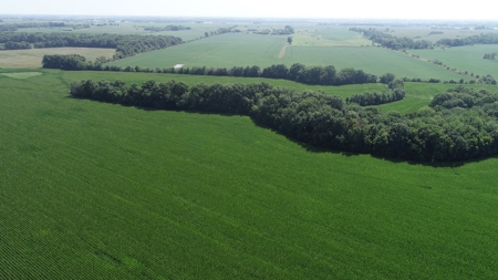 205+/- Acres, 3.5% Return on Investment, Quality Row Crop - image 13
