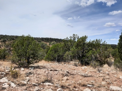 Great Views - image 6