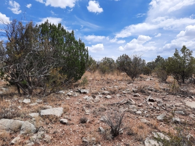 Great Views - image 4