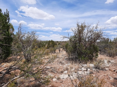Great Views - image 5