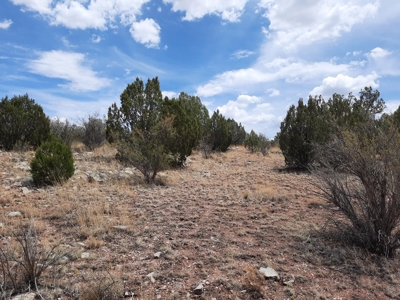 Great Views - image 1
