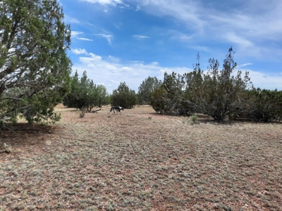Very Secluded - image 6