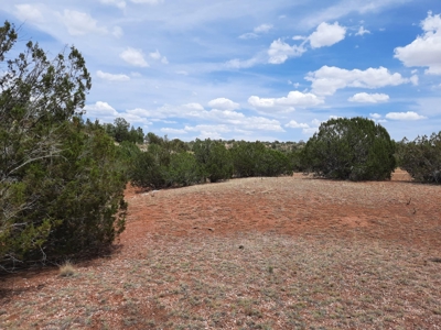 Very Secluded - image 5