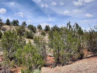 Very Secluded - image 7