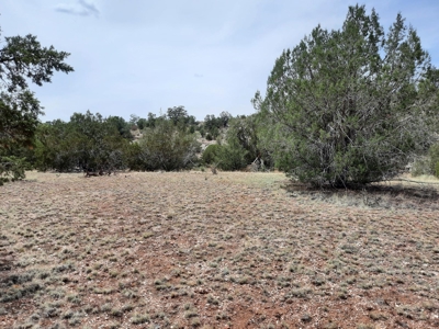 Very Secluded - image 1