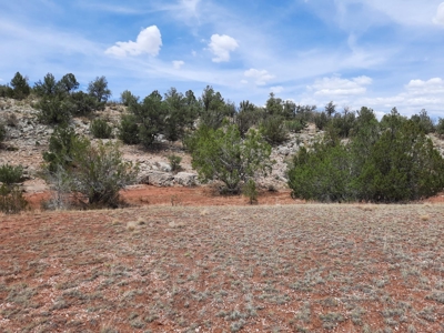 Very Secluded - image 10