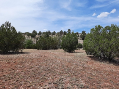 Very Secluded - image 2
