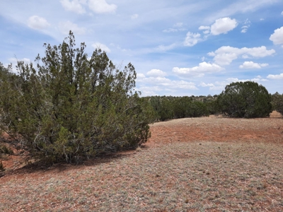 Very Secluded - image 9