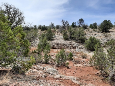 Very Secluded - image 8