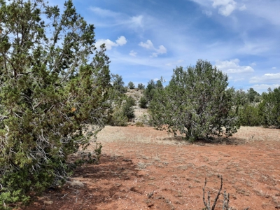 Very Secluded - image 3