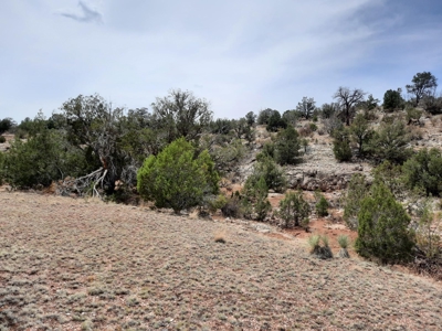 Very Secluded - image 4