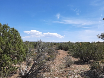 Beautiful Property - image 1