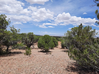 Gorgeous Views - image 6