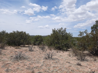 Gorgeous Views - image 8