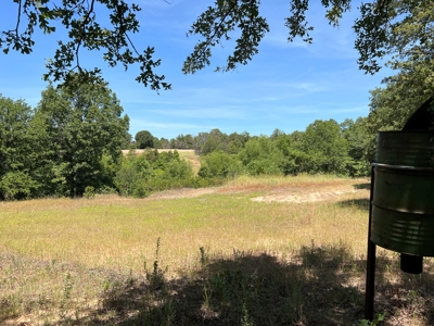Hunting/Recreational Property With Creeks and Food Plots - image 1