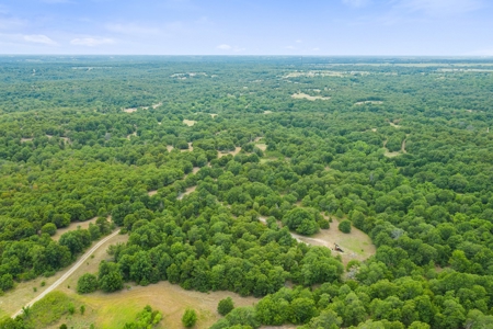 Hunting/Recreational Property With Creeks and Food Plots - image 19