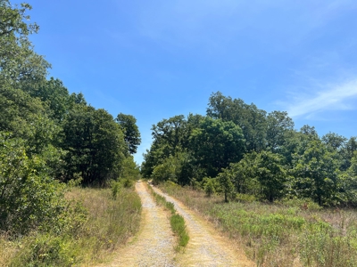 Hunting/Recreational Property With Creeks and Food Plots - image 8