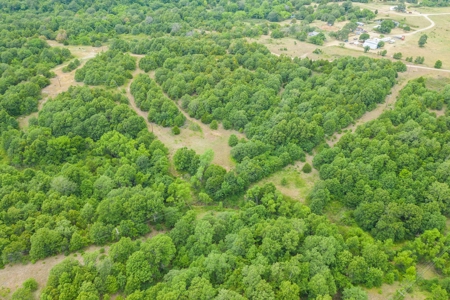 Hunting/Recreational Property With Creeks and Food Plots - image 21