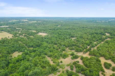 Hunting/Recreational Property With Creeks and Food Plots - image 24