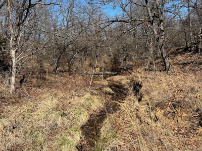 Hunting/Recreational Property With Creeks and Food Plots - image 13