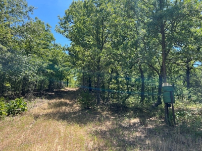 Hunting/Recreational Property With Creeks and Food Plots - image 12
