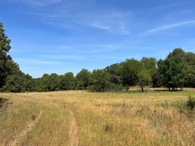 Hunting/Recreational Property With Creeks and Food Plots - image 9