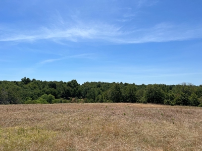 Hunting/Recreational Property With Creeks and Food Plots - image 6